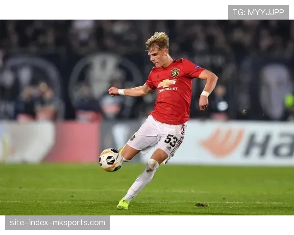 曼联后卫布兰登·威廉姆斯就被捕事件道歉,称愿承担全部责任